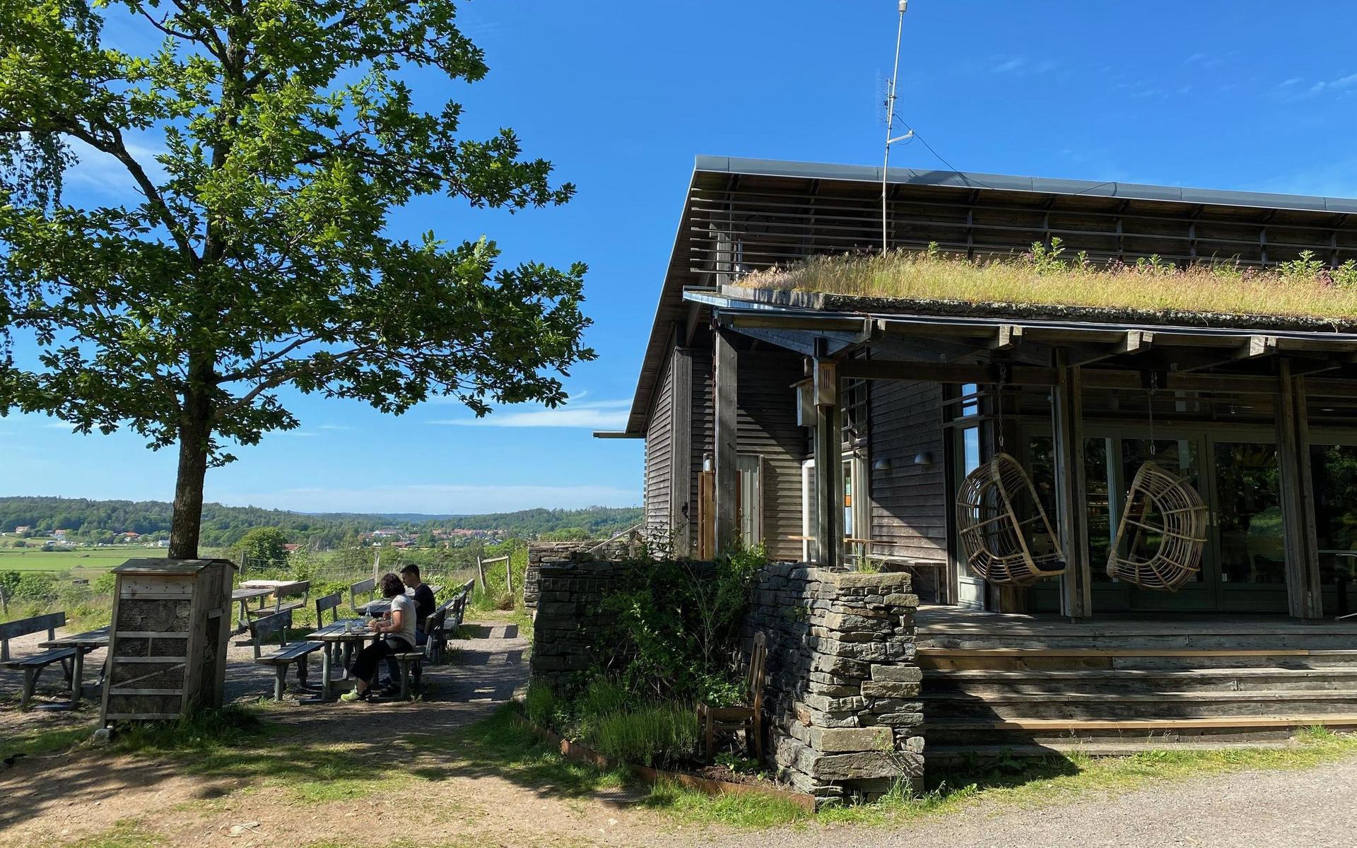 Ett besök på Café Bräckan i Naturum kombineras gärna med en långpromenad i naturområdet.