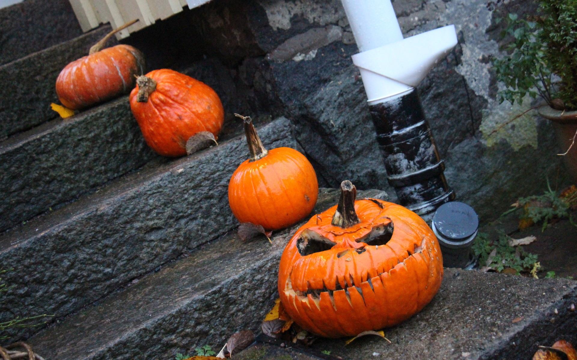 Det är blir ingen halloween utan några läskiga pumpor.