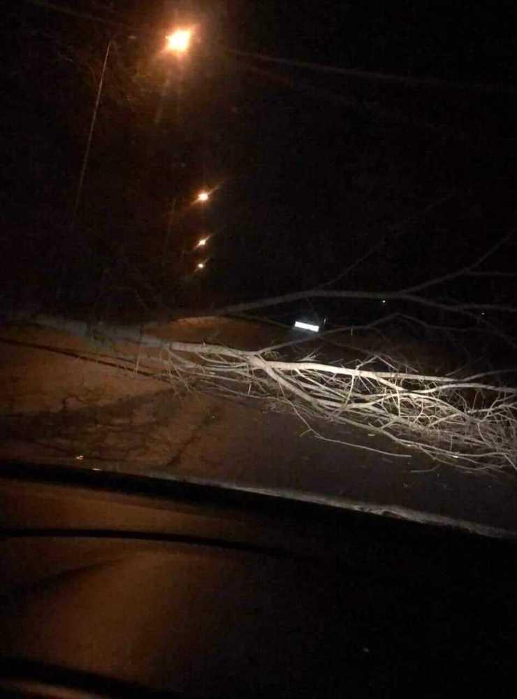 Vid 22-tiden på lördagskvällen hade ett träd lagt sig över Högenvägen i Kållered.