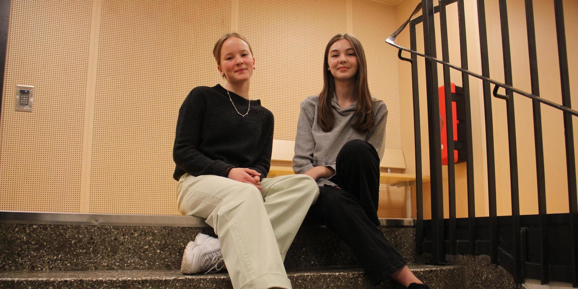 Ida Ivarsson och Linn Bergsten från Almåsskolan är med i antologin. 