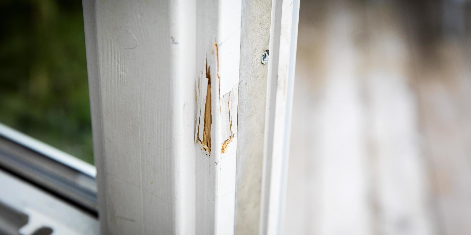 En Krokslättsbo väcktes under fredagsnatten av att någon gjorde oväsen i husets källare. Senare kunde polisen gripa en misstänkt tjuv. OBS: Genrebild. 