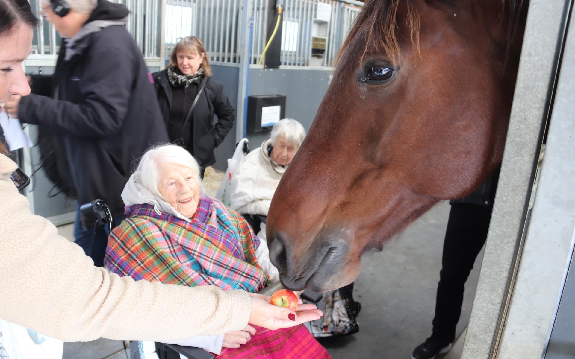 Anna-Lena Eliasson och Ann-Marie Hallin ser på när Mariette Petric matar travhästen med äpplen från Eklanda.