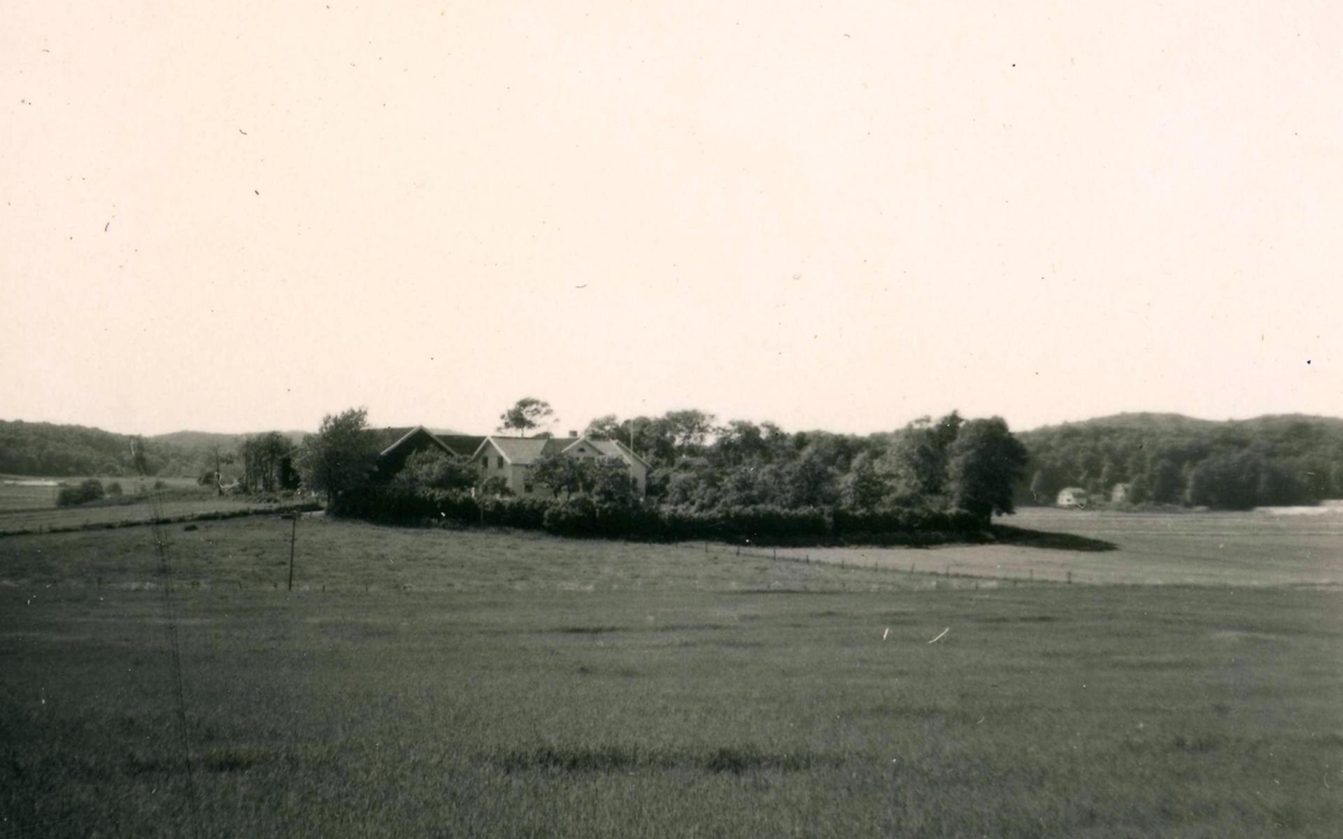 Vy mot Ekans gård år 1953. Där gården låg byggdes Ikea. 