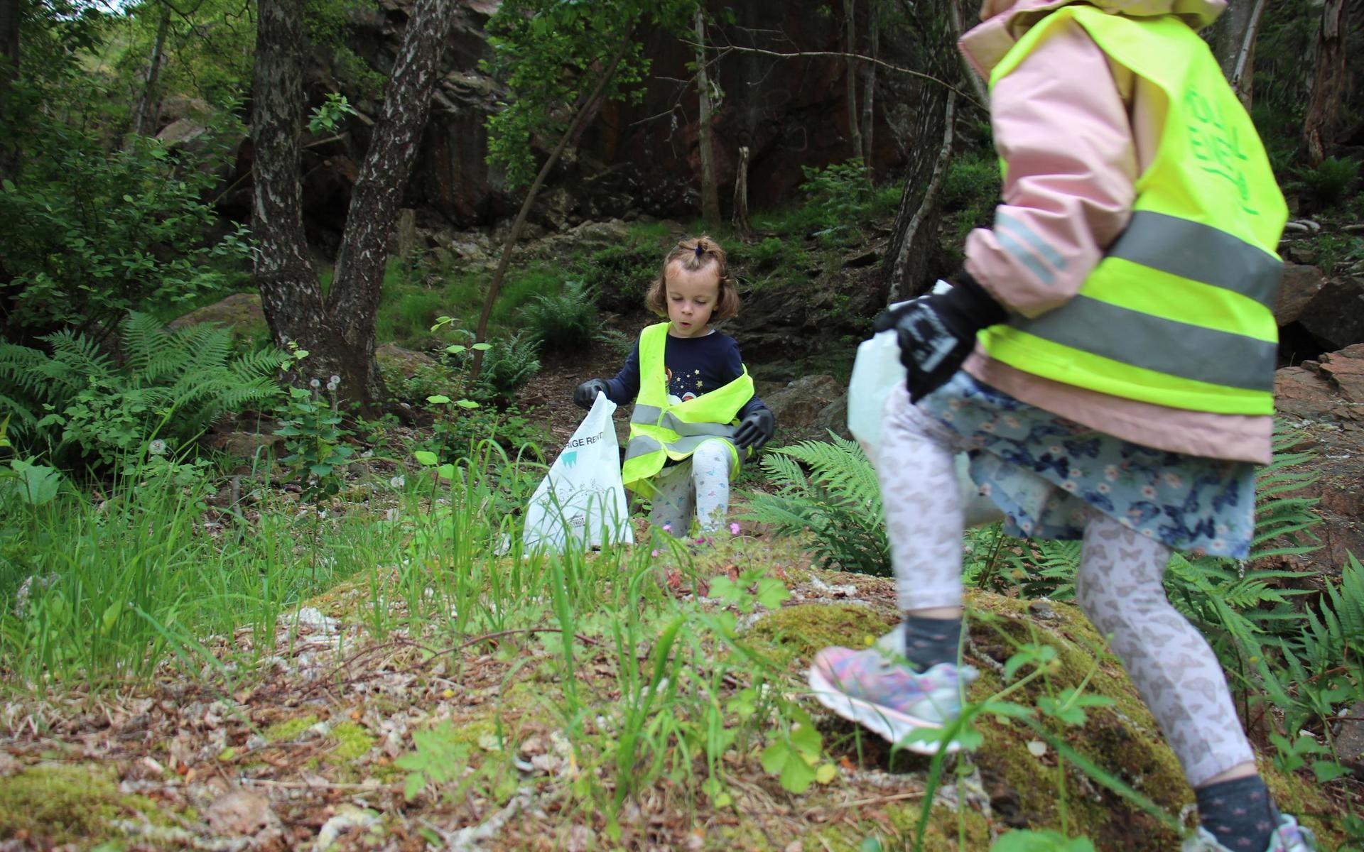 Alve Sandén letar efter plast i skogen. 