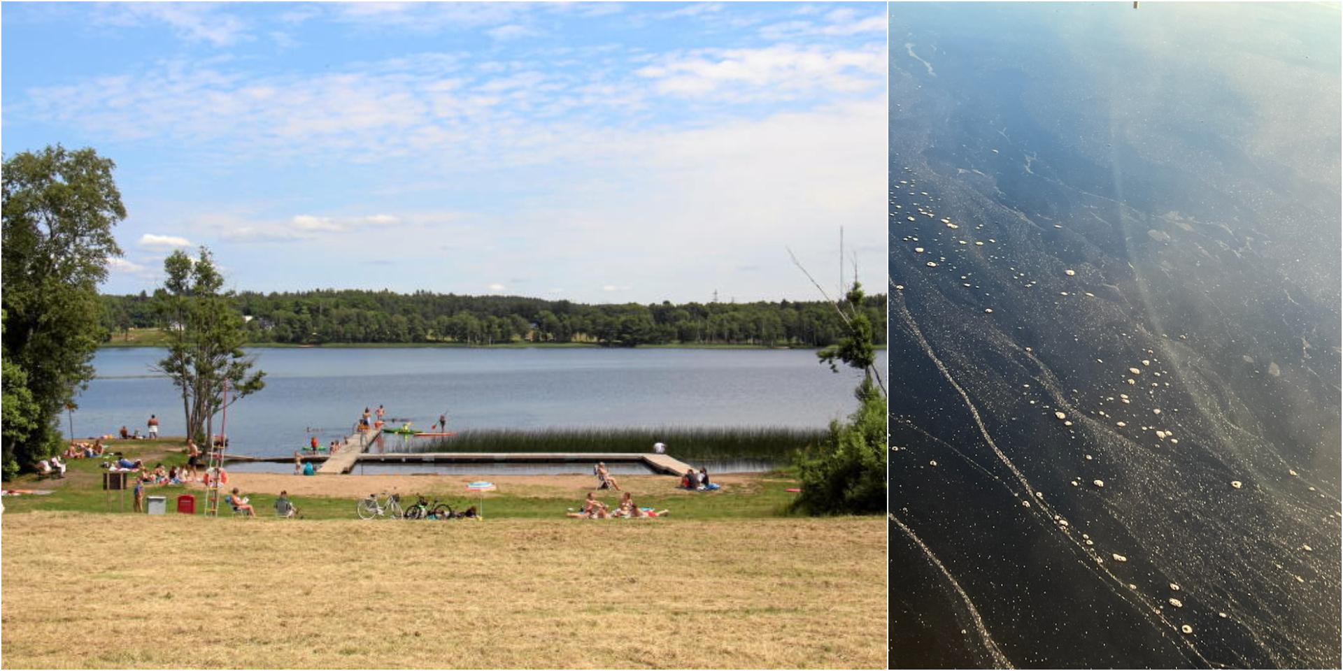 Till vänster en arkivbild från Tulebosjöns badplats. Till höger tekniska förvaltningens bild av den nu pågående algblomningen i sjön.