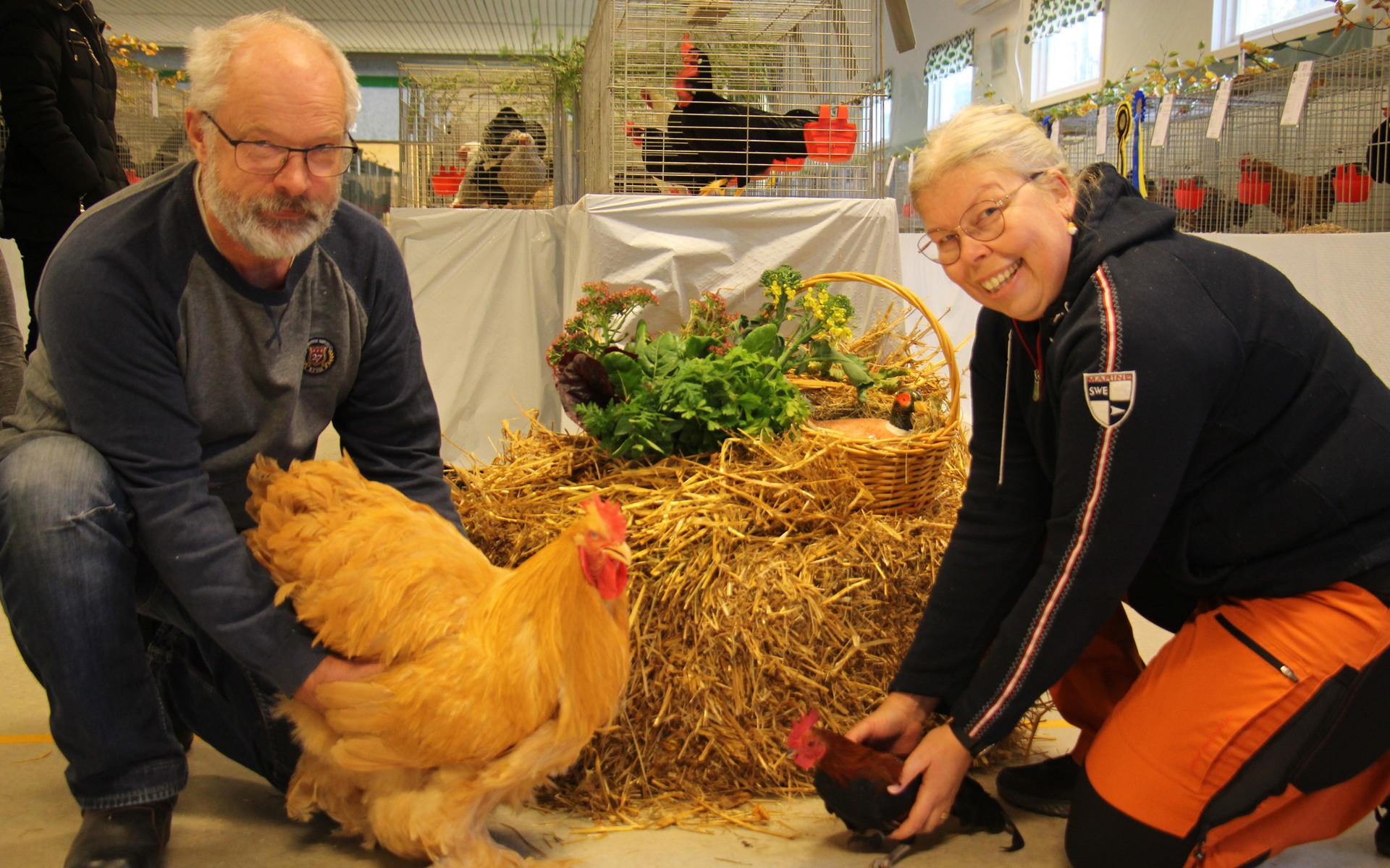 Föreningens ordförande Christer Sandh håller i en Kochin och Karin Käck en svensk dvärg. Här demonstrerar de storleksskillnaden mellan två hönor.