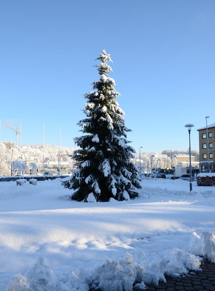 År 2016 såg en av julgranarna ut så här i Mölndal.