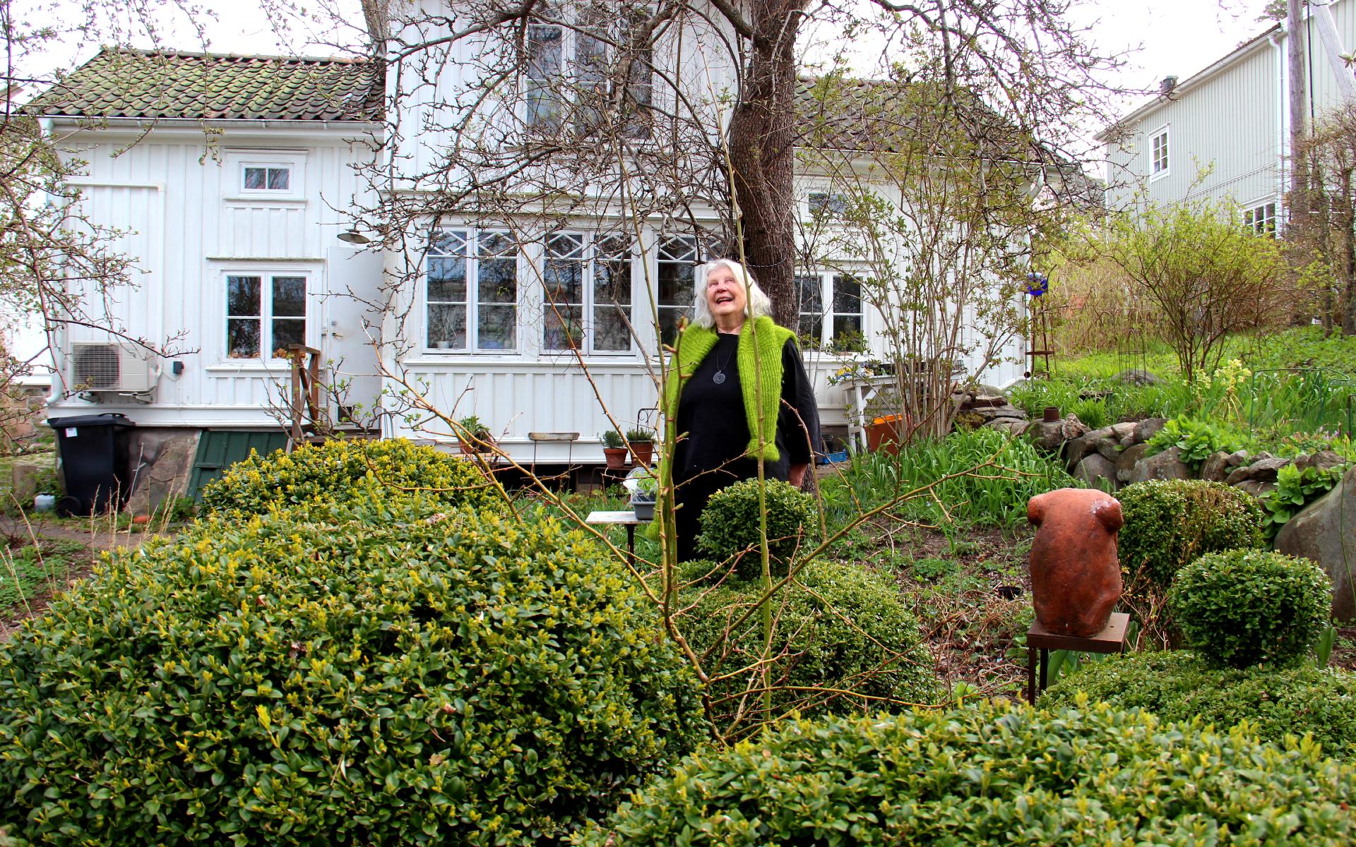 Buxbomen i Karins trädgård ska bli allt fler när den nya trädgården står klar.