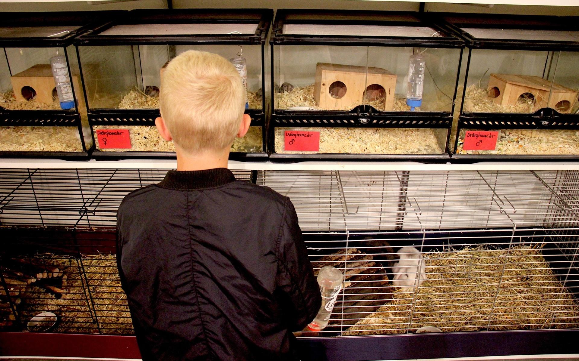 Mölndals Zoologiska säljer bland annat kaniner, hamstrar, reptiler och akvariefiskar. De säljer även djurtillbehör. 