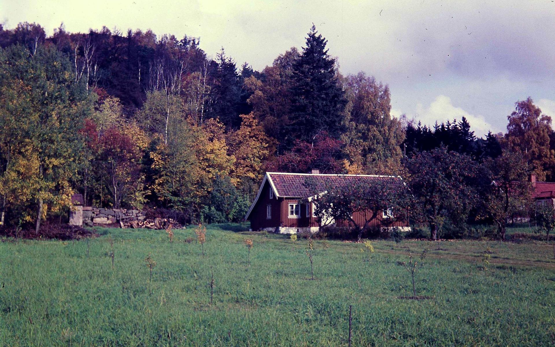 Matildas stuga vid Brattåsberget.