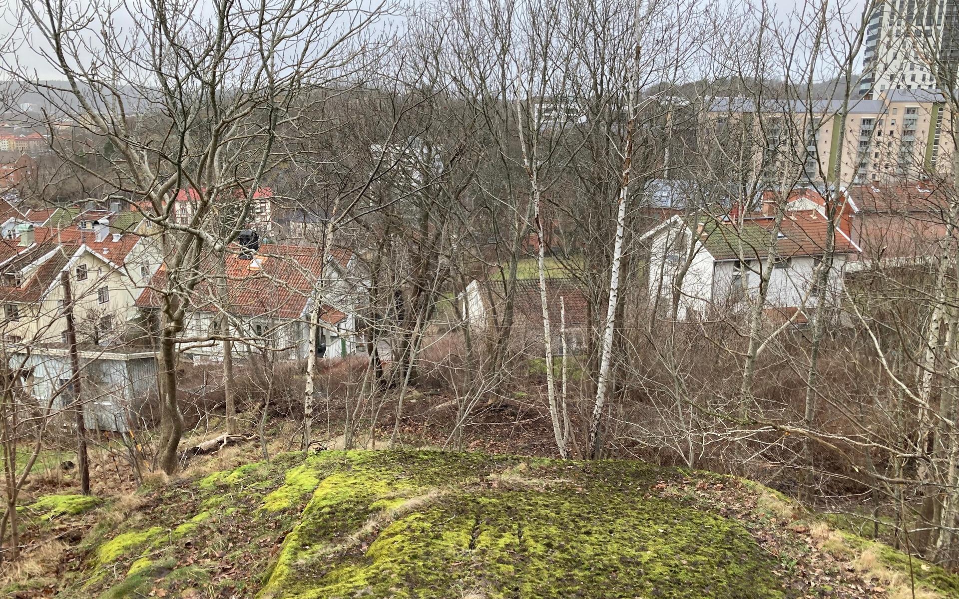 Vid Sodoms torn som låg i grönområdet mellan Åldermansgatan och Franckegatan kan det finnas rester av bland annat arsenik och bly som kan ha påverkat naturen. 