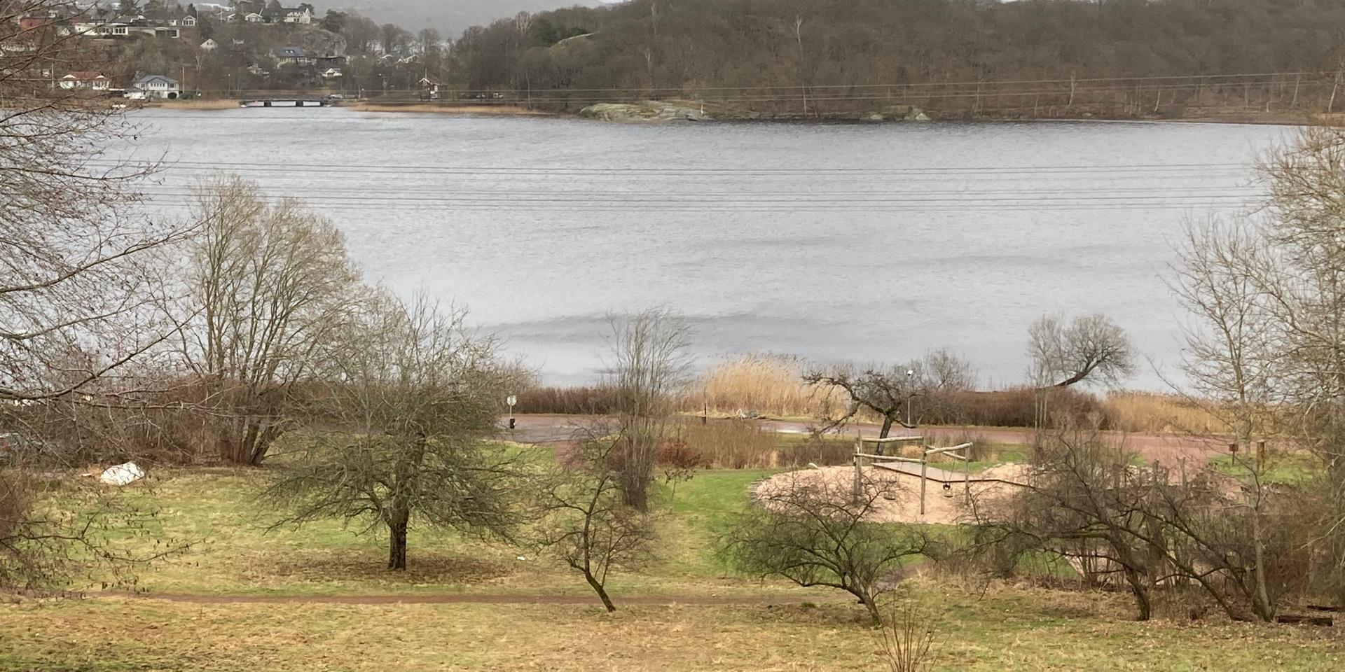 Stensjön är en av de mest förorenade platserna i Mölndal. En kemtvätt i området har orsakat allvarliga föroreningar med cancerframkallande lösningsmedel.