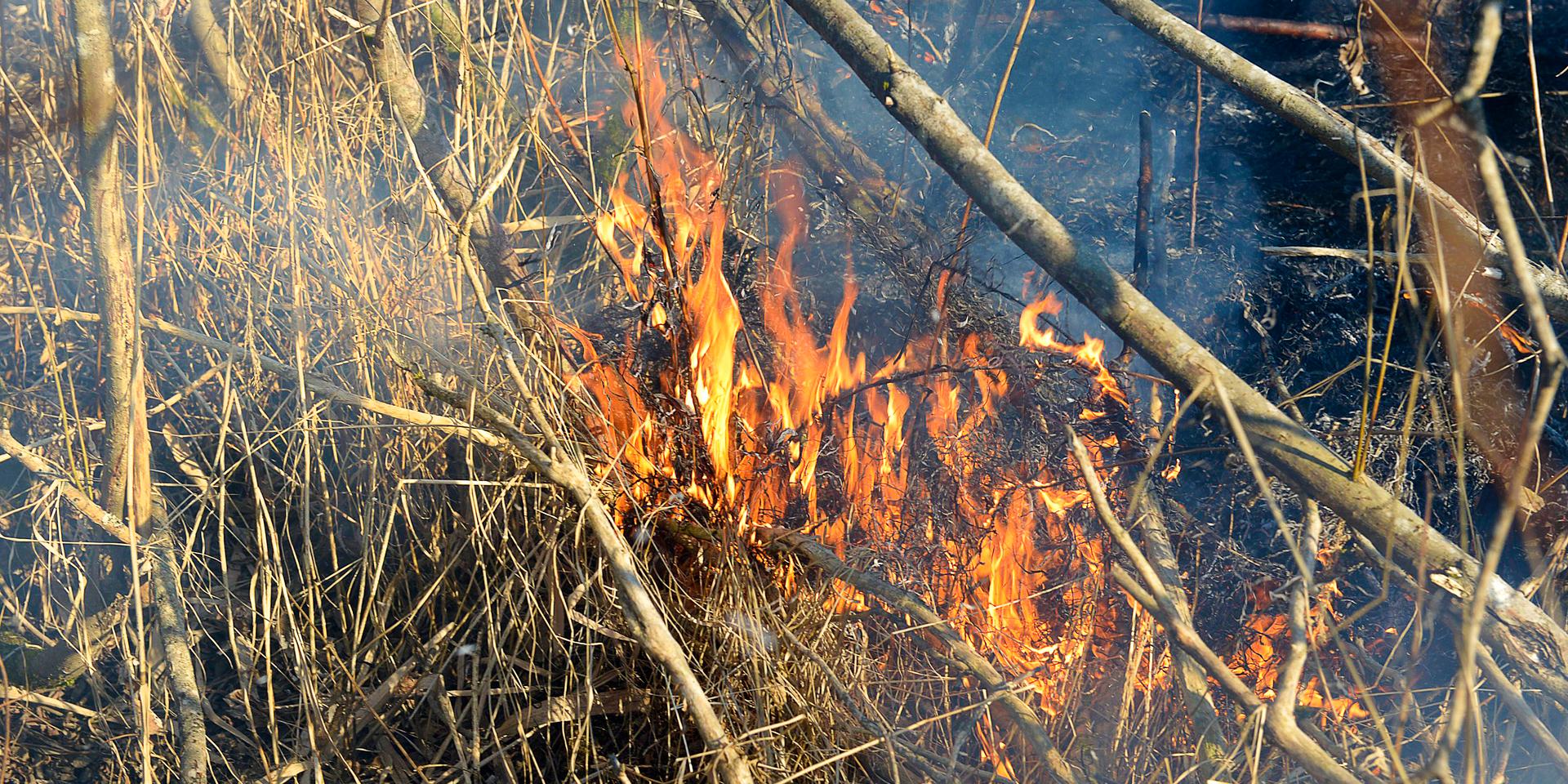 Stor risk för gräsbrand i Mölndal. 